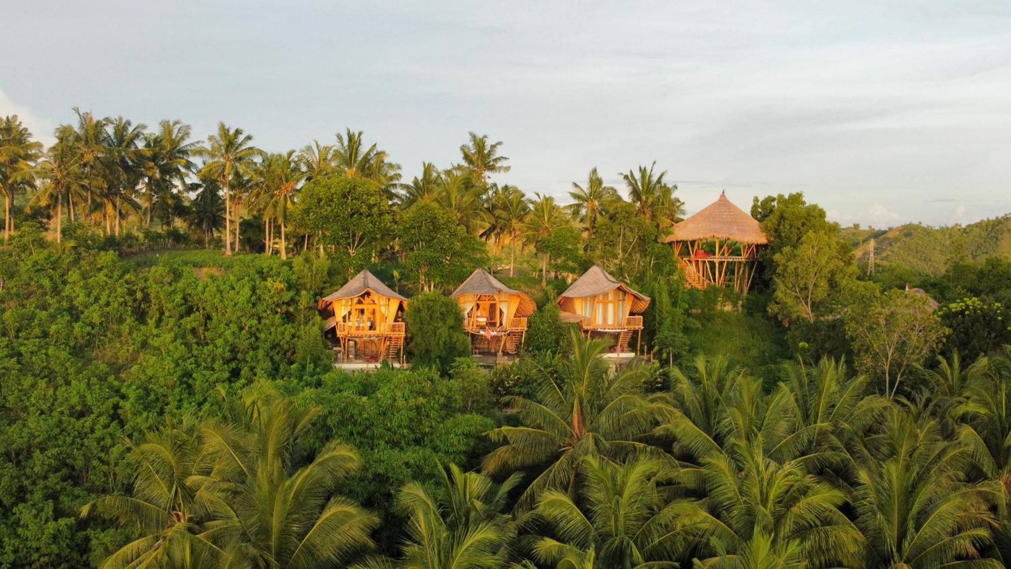 Kalma Bamboo Eco Lodge Kuta  Dış mekan fotoğraf